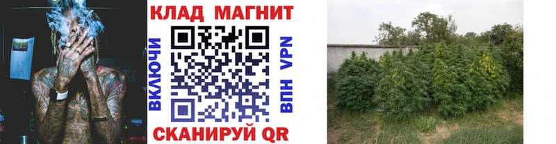 Все наркотики Монино СОЛЬ  АМФЕТАМИН  ссылка на мегу ссылки  Бошки Шишки  БУТИРАТ  Меф  ГАШИШ 