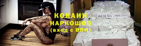 крисы Медногорск