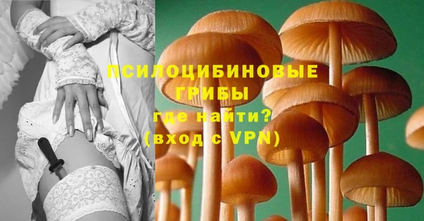 соль курить ск Аша